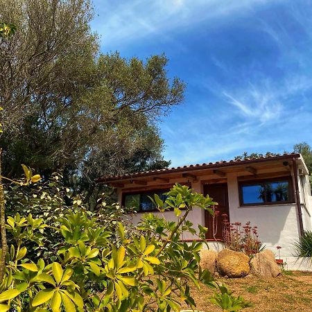 Casa Saltara (Adults Only) Villa Santa Teresa Gallura Kültér fotó