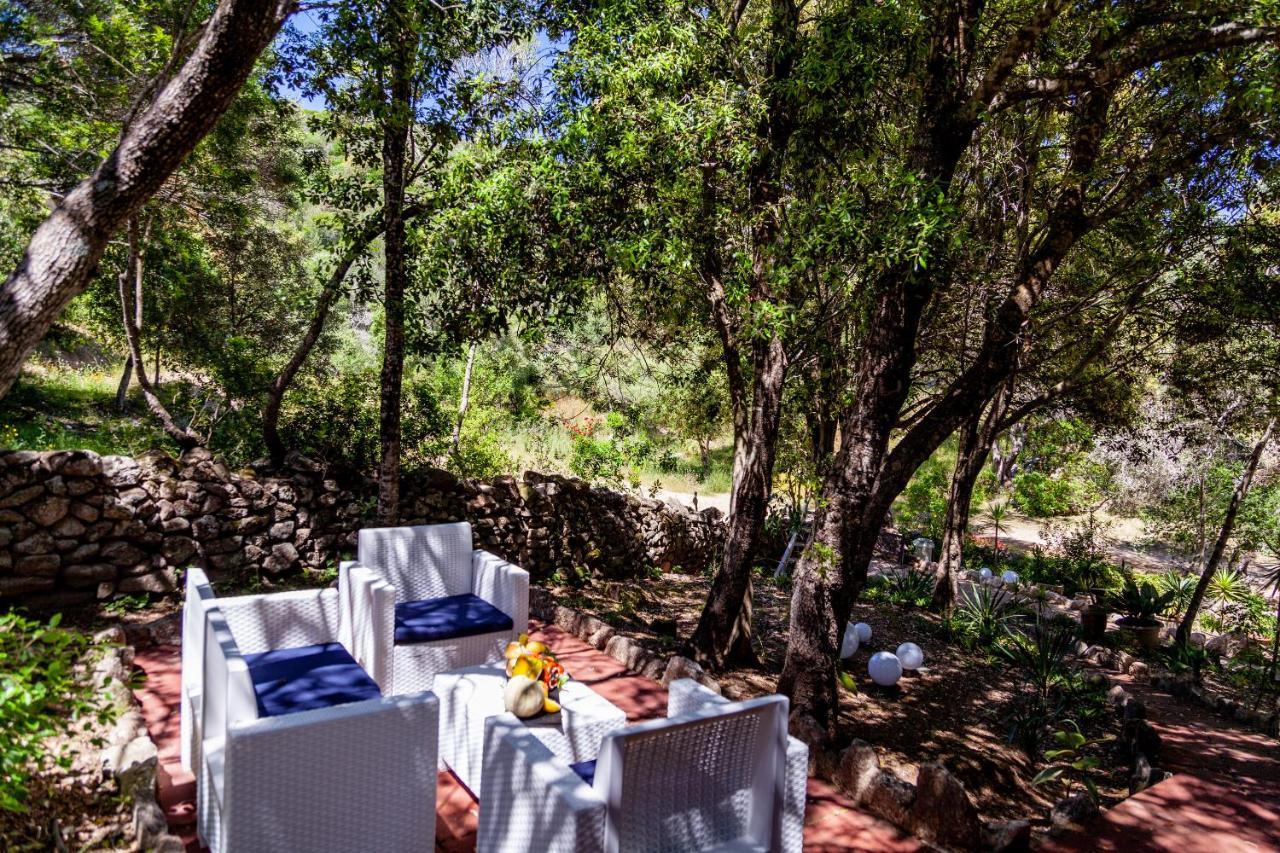 Casa Saltara (Adults Only) Villa Santa Teresa Gallura Kültér fotó