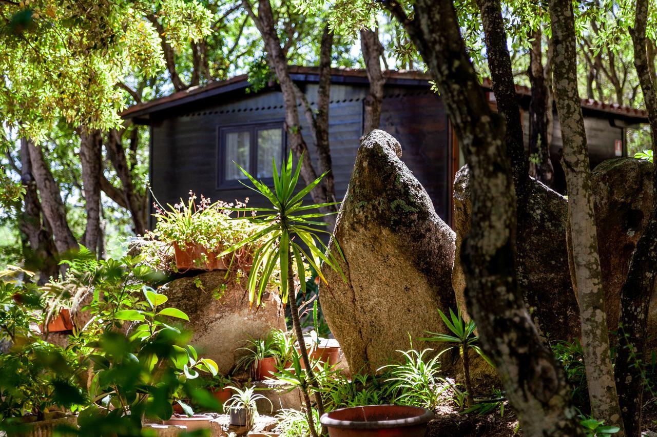 Casa Saltara (Adults Only) Villa Santa Teresa Gallura Kültér fotó