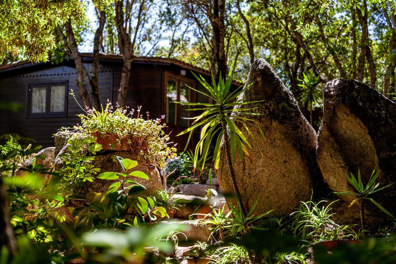 Casa Saltara (Adults Only) Villa Santa Teresa Gallura Kültér fotó