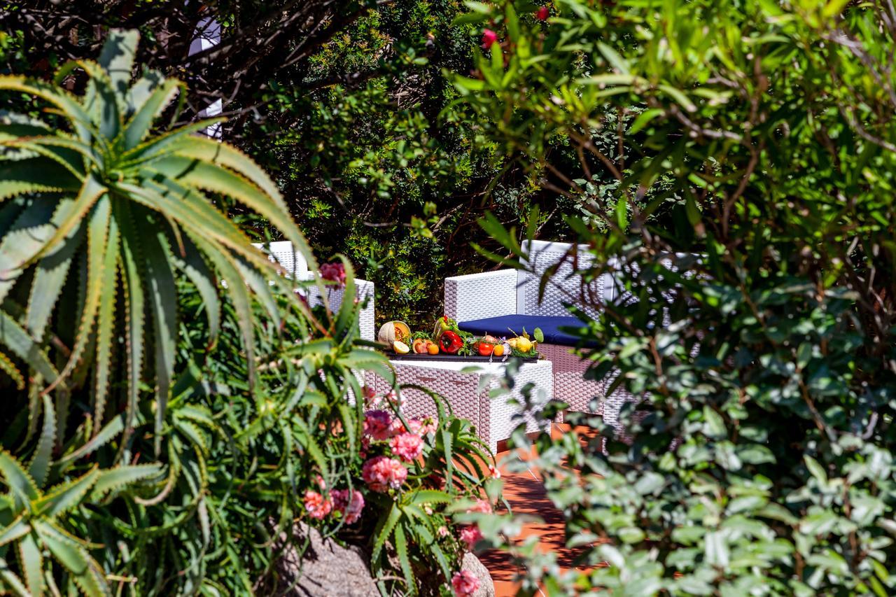 Casa Saltara (Adults Only) Villa Santa Teresa Gallura Kültér fotó
