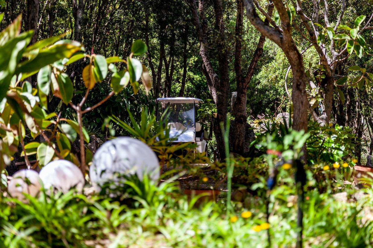 Casa Saltara (Adults Only) Villa Santa Teresa Gallura Kültér fotó